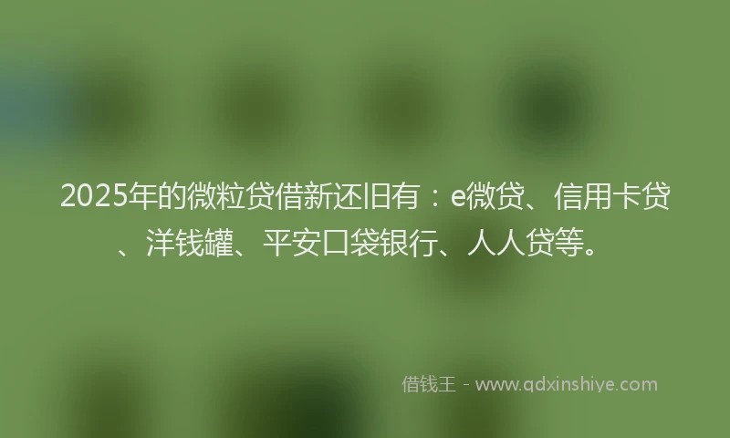 2025年的微粒贷借新还旧有：e微贷、信用卡贷、洋钱罐、平安口袋银行、人人贷等。