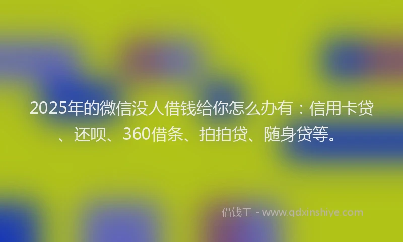 2025年的微信没人借钱给你怎么办有：信用卡贷、还呗、360借条、拍拍贷、随身贷等。