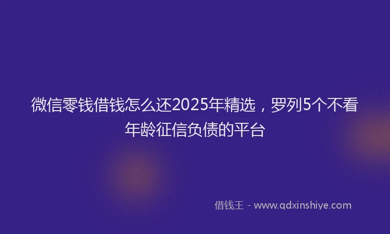 微信零钱借钱怎么还2025年精选，罗列5个不看年龄征信负债的平台