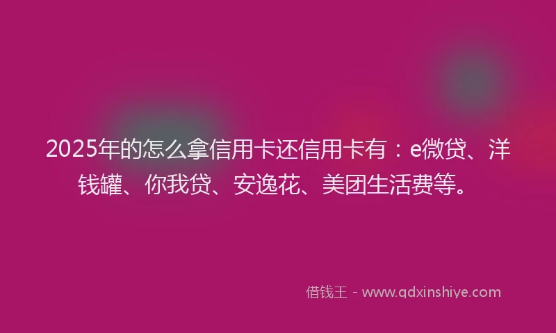 2025年的怎么拿信用卡还信用卡有：e微贷、洋钱罐、你我贷、安逸花、美团生活费等。