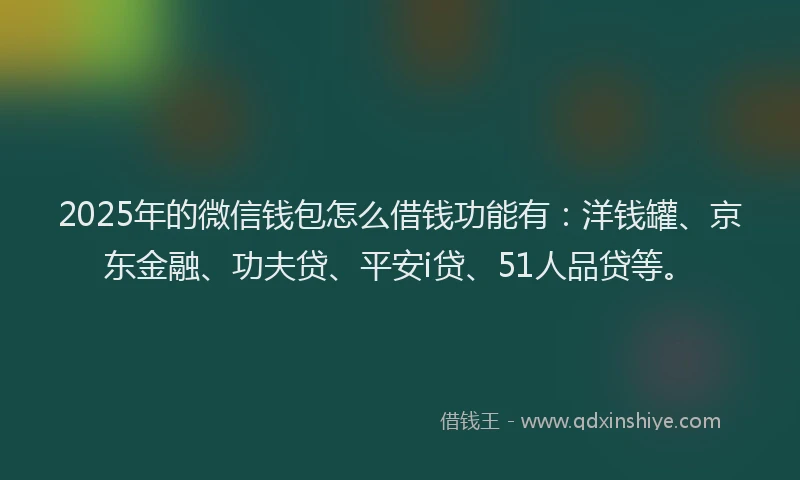 2025年的微信钱包怎么借钱功能有：洋钱罐、京东金融、功夫贷、平安i贷、51人品贷等。