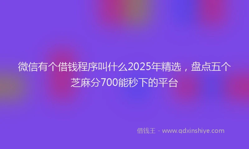 微信有个借钱程序叫什么2025年精选，盘点五个芝麻分700能秒下的平台