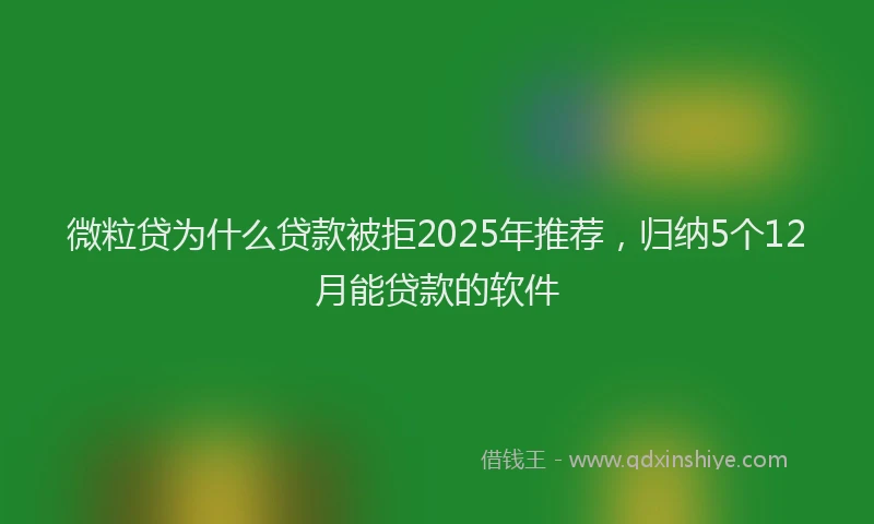 微粒贷为什么贷款被拒2025年推荐，归纳5个12月能贷款的软件