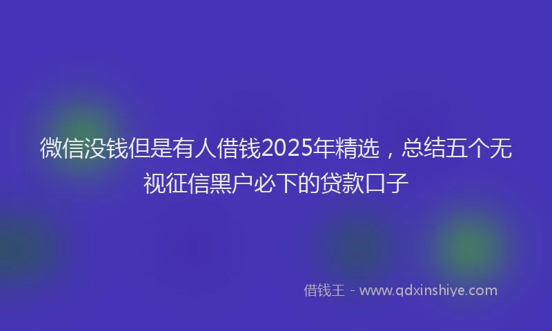微信没钱但是有人借钱2025年精选，总结五个无视征信黑户必下的贷款口子
