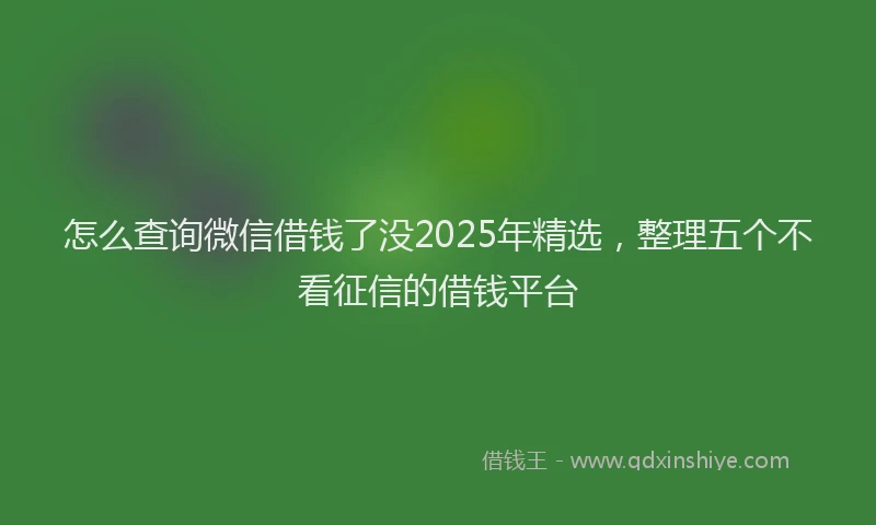 怎么查询微信借钱了没2025年精选，整理五个不看征信的借钱平台