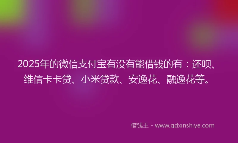 2025年的微信支付宝有没有能借钱的有：还呗、维信卡卡贷、小米贷款、安逸花、融逸花等。