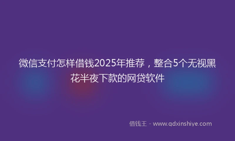 微信支付怎样借钱2025年推荐，整合5个无视黑花半夜下款的网贷软件