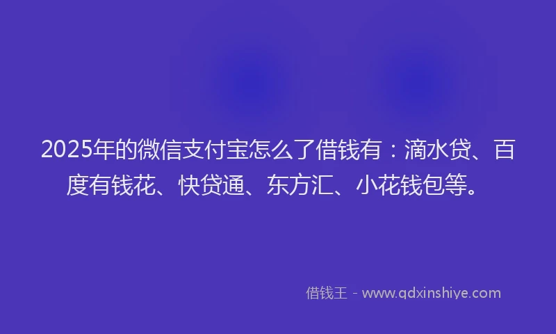 2025年的微信支付宝怎么了借钱有：滴水贷、百度有钱花、快贷通、东方汇、小花钱包等。