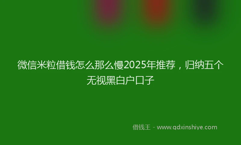 微信米粒借钱怎么那么慢2025年推荐，归纳五个无视黑白户口子