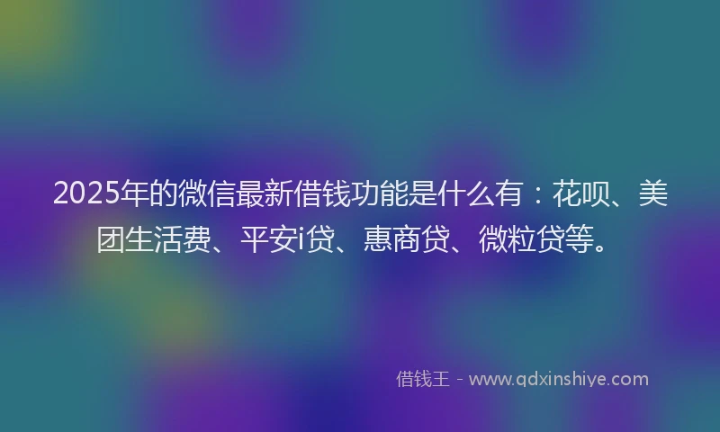 2025年的微信最新借钱功能是什么有：花呗、美团生活费、平安i贷、惠商贷、微粒贷等。