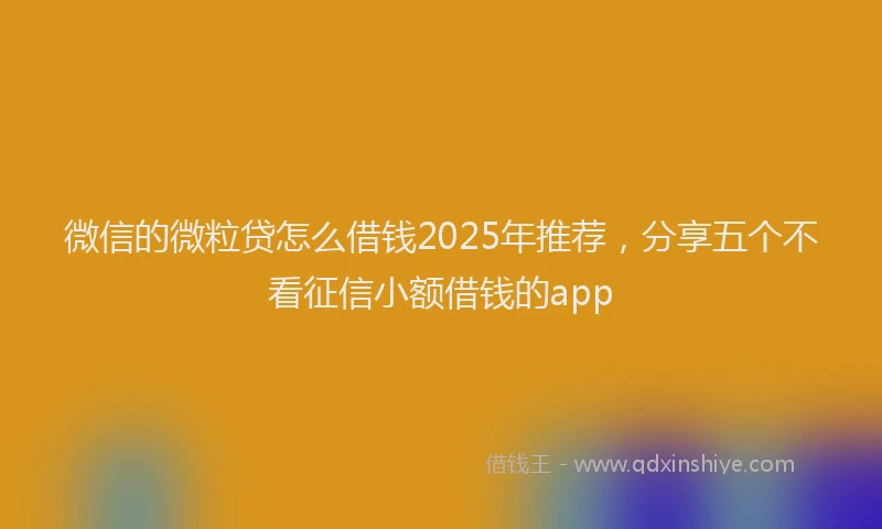 微信的微粒贷怎么借钱2025年推荐，分享五个不看征信小额借钱的app