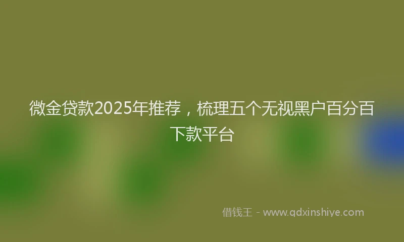 微金贷款2025年推荐，梳理五个无视黑户百分百下款平台