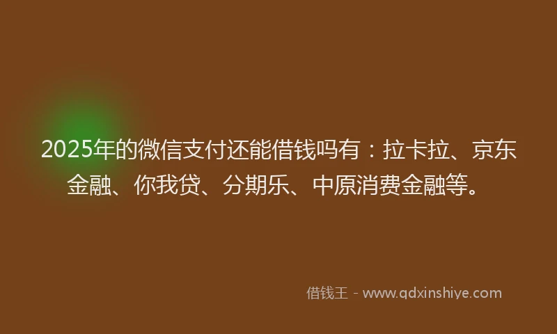2025年的微信支付还能借钱吗有：拉卡拉、京东金融、你我贷、分期乐、中原消费金融等。
