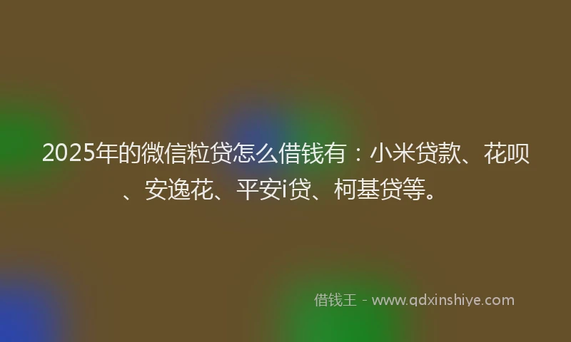 2025年的微信粒贷怎么借钱有：小米贷款、花呗、安逸花、平安i贷、柯基贷等。