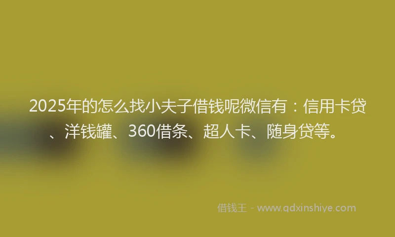 2025年的怎么找小夫子借钱呢微信有：信用卡贷、洋钱罐、360借条、超人卡、随身贷等。