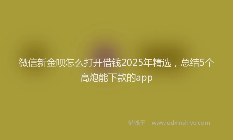 微信新金呗怎么打开借钱2025年精选，总结5个高炮能下款的app