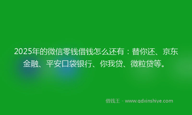 2025年的微信零钱借钱怎么还有：替你还、京东金融、平安口袋银行、你我贷、微粒贷等。