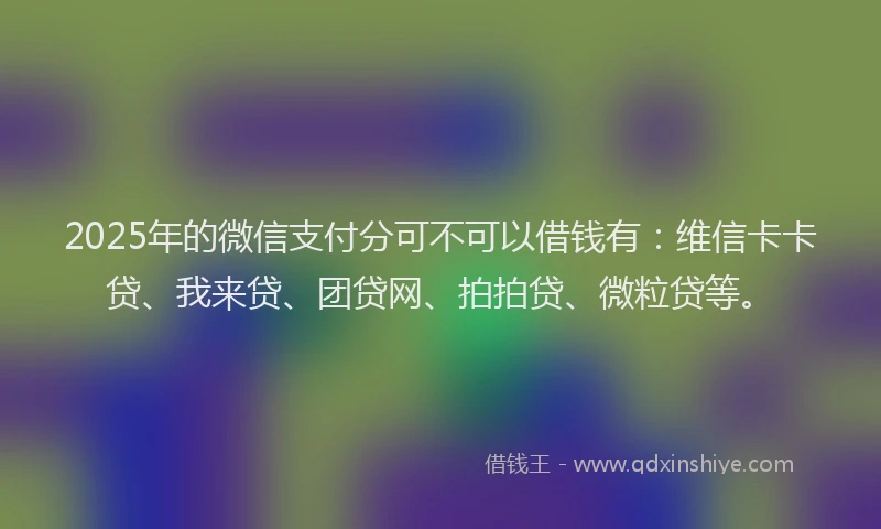 2025年的微信支付分可不可以借钱有：维信卡卡贷、我来贷、团贷网、拍拍贷、微粒贷等。