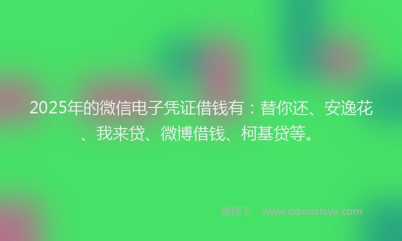 2025年的微信电子凭证借钱有：替你还、安逸花、我来贷、微博借钱、柯基贷等。