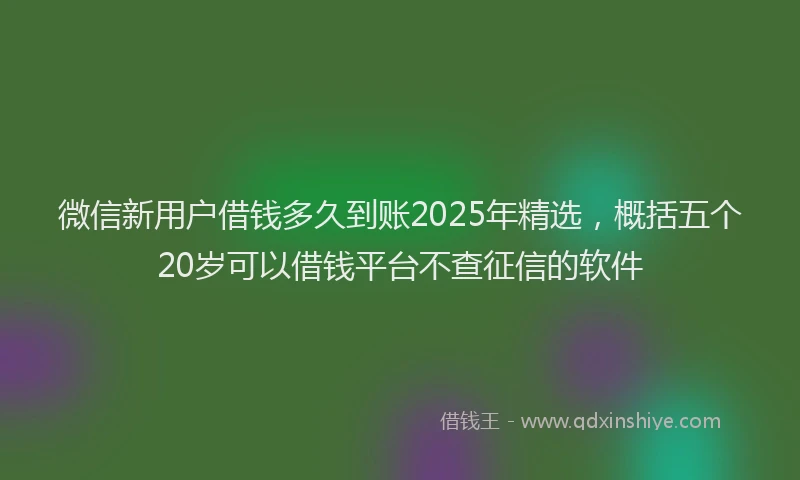 微信新用户借钱多久到账2025年精选，概括五个20岁可以借钱平台不查征信的软件