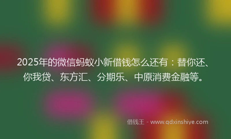 2025年的微信蚂蚁小新借钱怎么还有：替你还、你我贷、东方汇、分期乐、中原消费金融等。