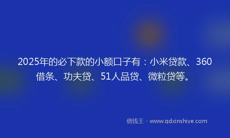 2025年的必下款的小额口子有：小米贷款、360借条、功夫贷、51人品贷、微粒贷等。