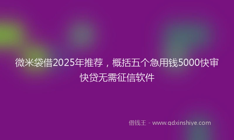 微米袋借2025年推荐，概括五个急用钱5000快审快贷无需征信软件