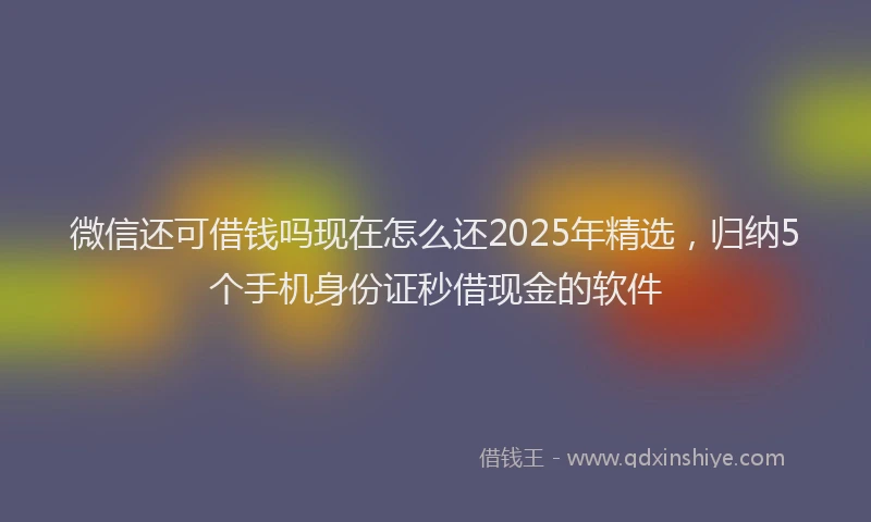 微信还可借钱吗现在怎么还2025年精选，归纳5个手机身份证秒借现金的软件