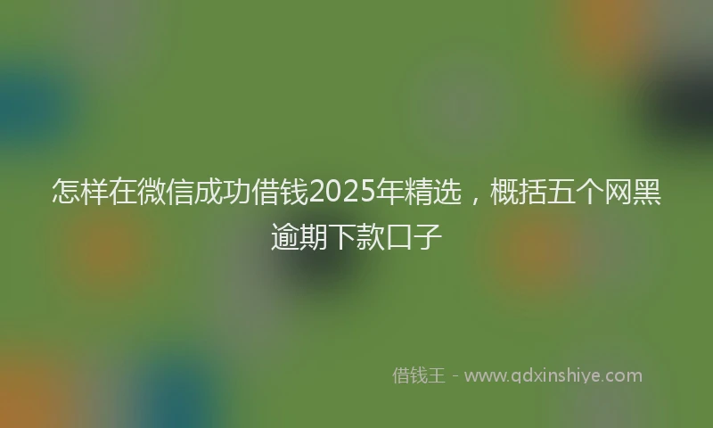 怎样在微信成功借钱2025年精选，概括五个网黑逾期下款口子