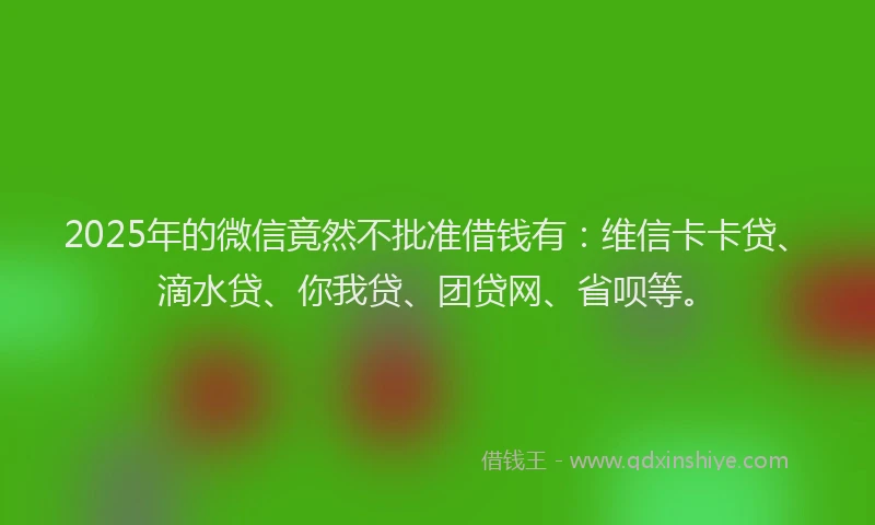 2025年的微信竟然不批准借钱有：维信卡卡贷、滴水贷、你我贷、团贷网、省呗等。