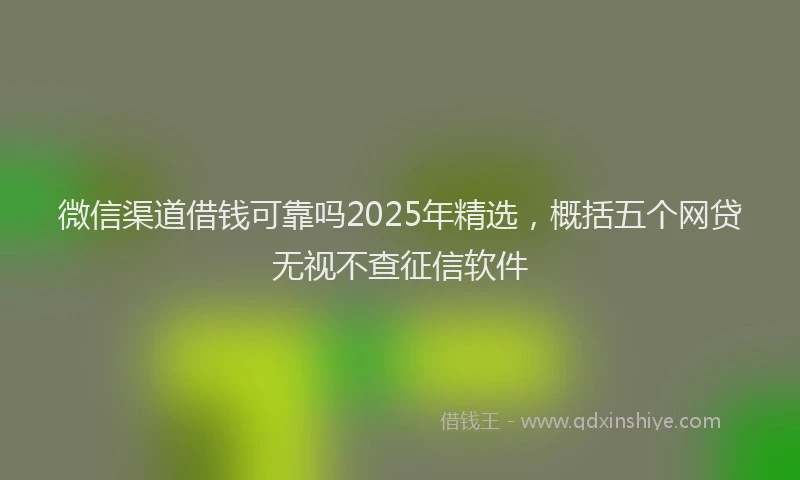 微信渠道借钱可靠吗2025年精选，概括五个网贷无视不查征信软件