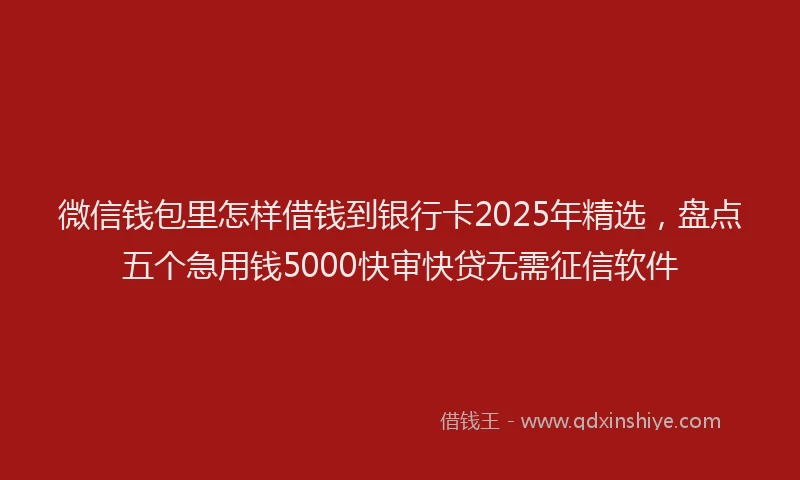 微信钱包里怎样借钱到银行卡2025年精选，盘点五个急用钱5000快审快贷无需征信软件