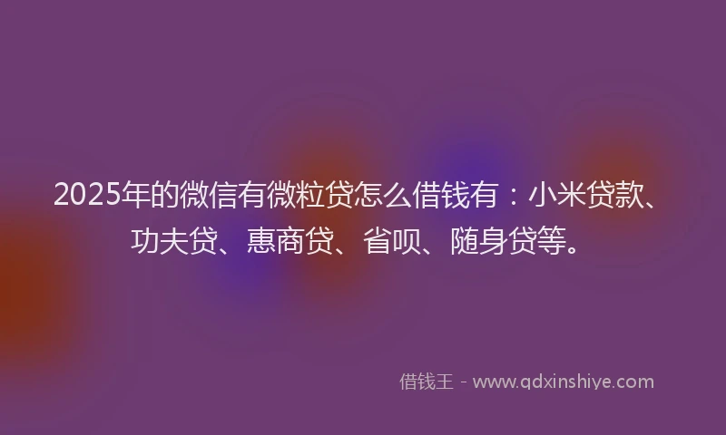 2025年的微信有微粒贷怎么借钱有：小米贷款、功夫贷、惠商贷、省呗、随身贷等。