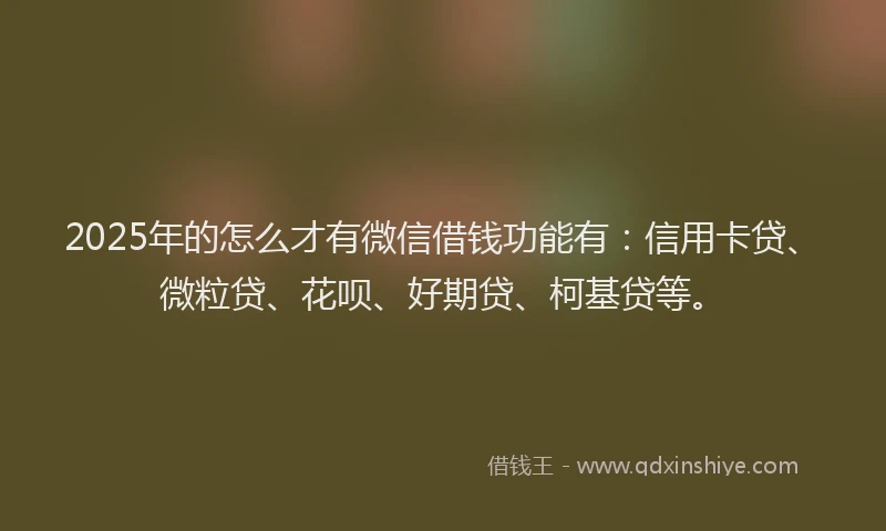 2025年的怎么才有微信借钱功能有：信用卡贷、微粒贷、花呗、好期贷、柯基贷等。