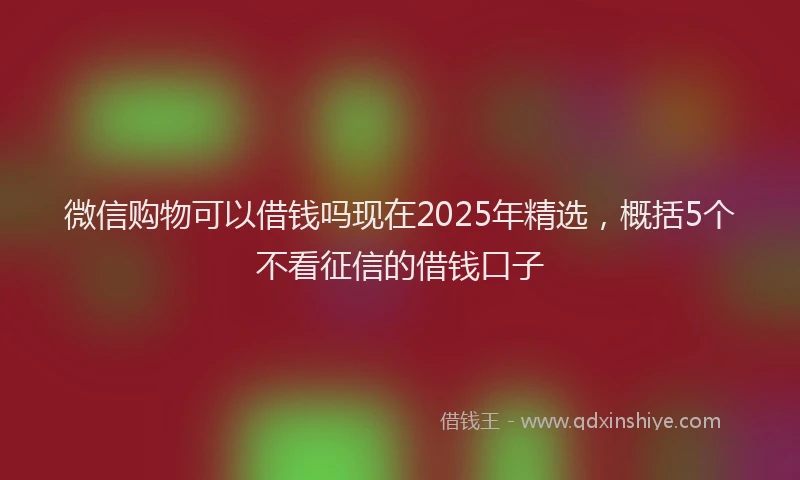 微信购物可以借钱吗现在2025年精选，概括5个不看征信的借钱口子
