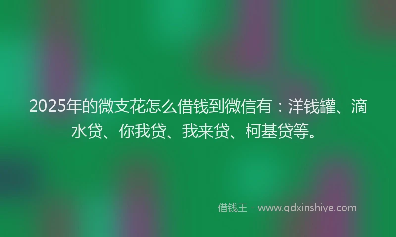 2025年的微支花怎么借钱到微信有：洋钱罐、滴水贷、你我贷、我来贷、柯基贷等。