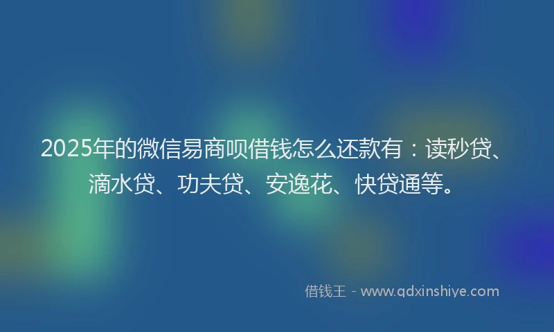 2025年的微信易商呗借钱怎么还款有：读秒贷、滴水贷、功夫贷、安逸花、快贷通等。