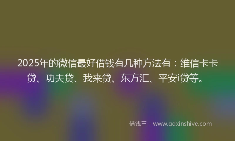2025年的微信最好借钱有几种方法有：维信卡卡贷、功夫贷、我来贷、东方汇、平安i贷等。