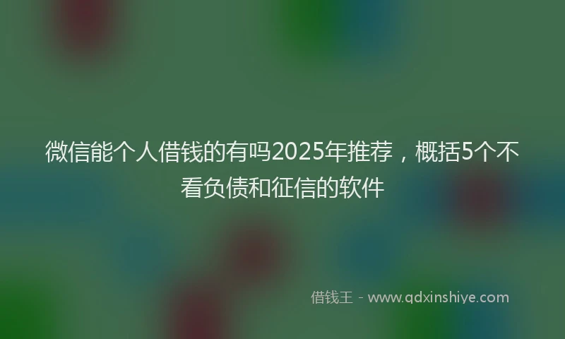 微信能个人借钱的有吗2025年推荐，概括5个不看负债和征信的软件