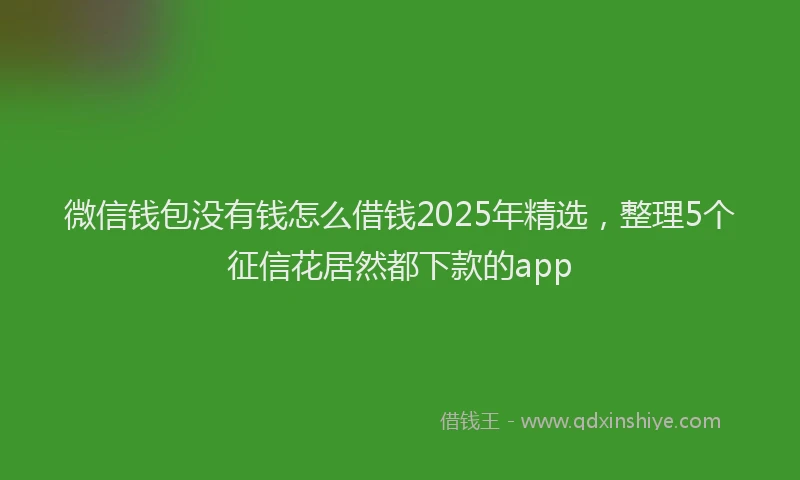 微信钱包没有钱怎么借钱2025年精选，整理5个征信花居然都下款的app