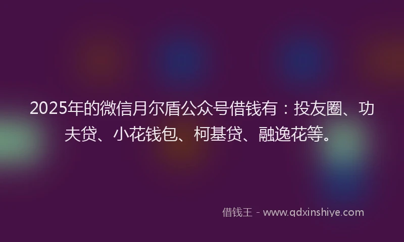 2025年的微信月尔盾公众号借钱有：投友圈、功夫贷、小花钱包、柯基贷、融逸花等。