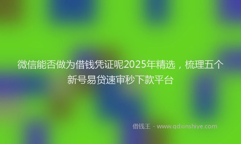 微信能否做为借钱凭证呢2025年精选，梳理五个新号易贷速审秒下款平台