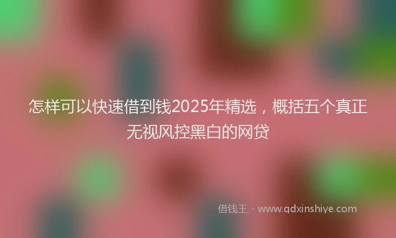 怎样可以快速借到钱2025年精选，概括五个真正无视风控黑白的网贷