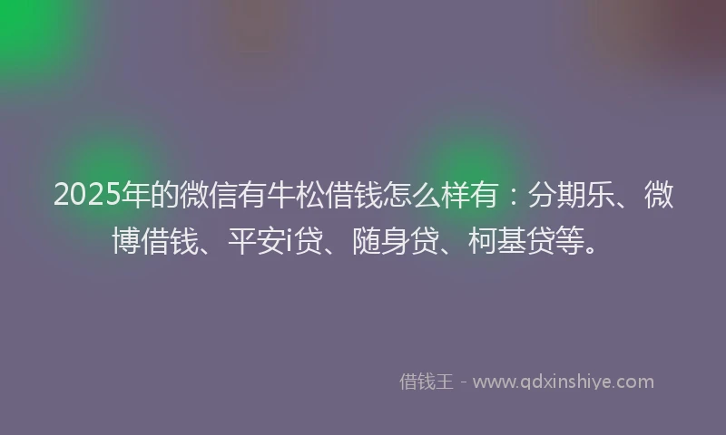 2025年的微信有牛松借钱怎么样有：分期乐、微博借钱、平安i贷、随身贷、柯基贷等。
