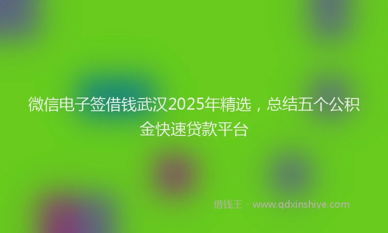 微信电子签借钱武汉2025年精选，总结五个公积金快速贷款平台