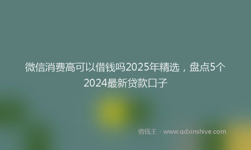 微信消费高可以借钱吗2025年精选，盘点5个2024最新贷款口子