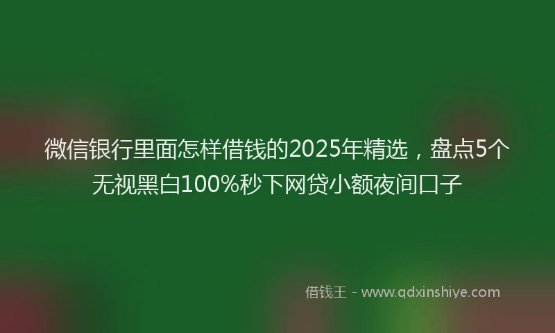 微信银行里面怎样借钱的2025年精选，盘点5个无视黑白100%秒下网贷小额夜间口子