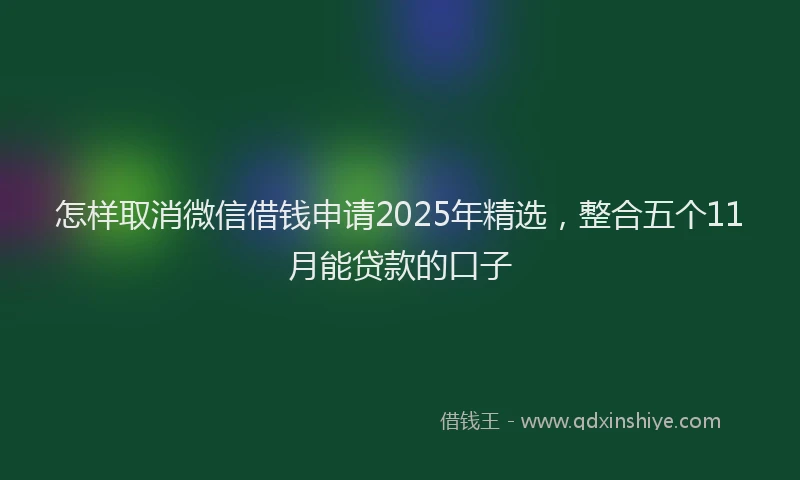 怎样取消微信借钱申请2025年精选，整合五个11月能贷款的口子