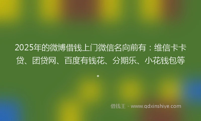 2025年的微博借钱上门微信名向前有：维信卡卡贷、团贷网、百度有钱花、分期乐、小花钱包等。