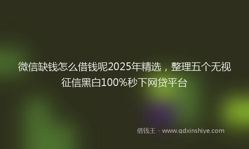 微信缺钱怎么借钱呢2025年精选，整理五个无视征信黑白100%秒下网贷平台